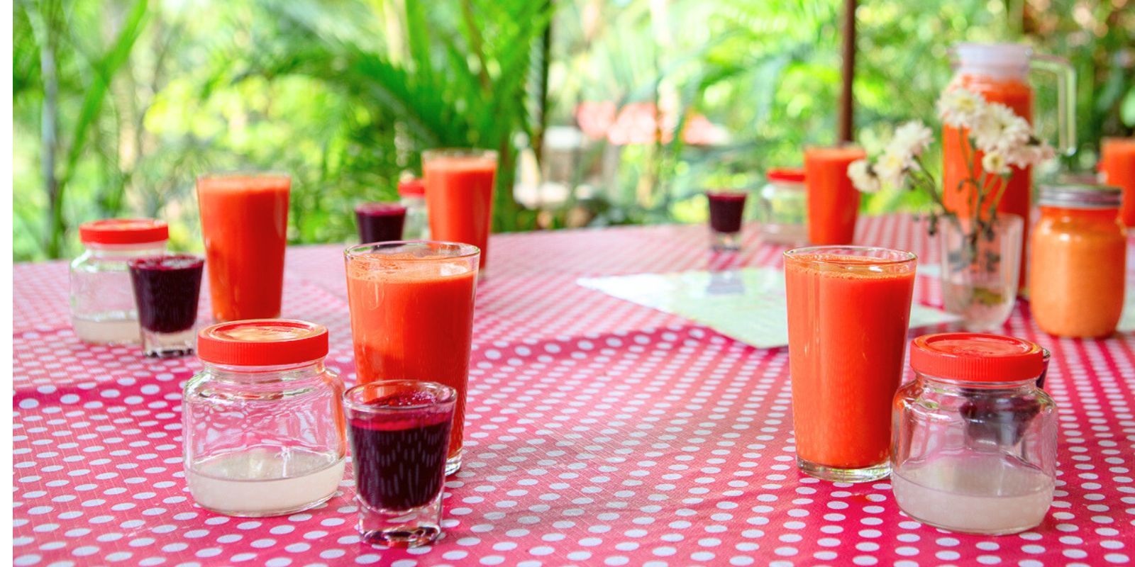 Sivananda-Madurai-Fasting-Detoxification-01